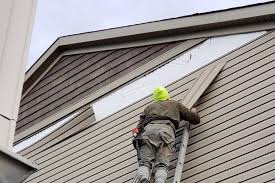 Best Fascia and Soffit Installation  in Meyers, CA